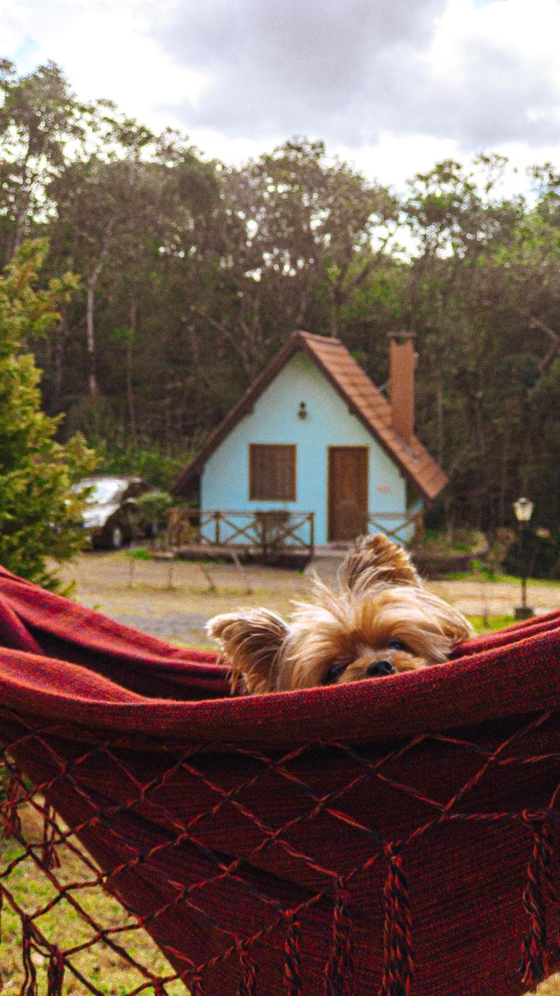 Pousada Vila Lubia - Chales Monte Verde Monte Verde  Exteriér fotografie
